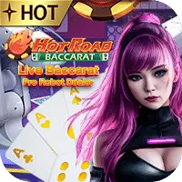 บาคาร่า-HOT-ROAD